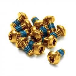 Šrouby na kotouče Reverse Steel M5 x 10 mm Torx 25
